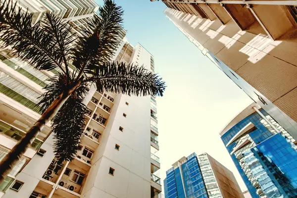 Atiradores Joinville 2026: O Bairro Nobre Que a Plaenge Escolheu