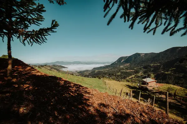 Campo Alegre 2026: o Hectare a R$ 50 Mil em SC e o Caso da Diversificação Rural