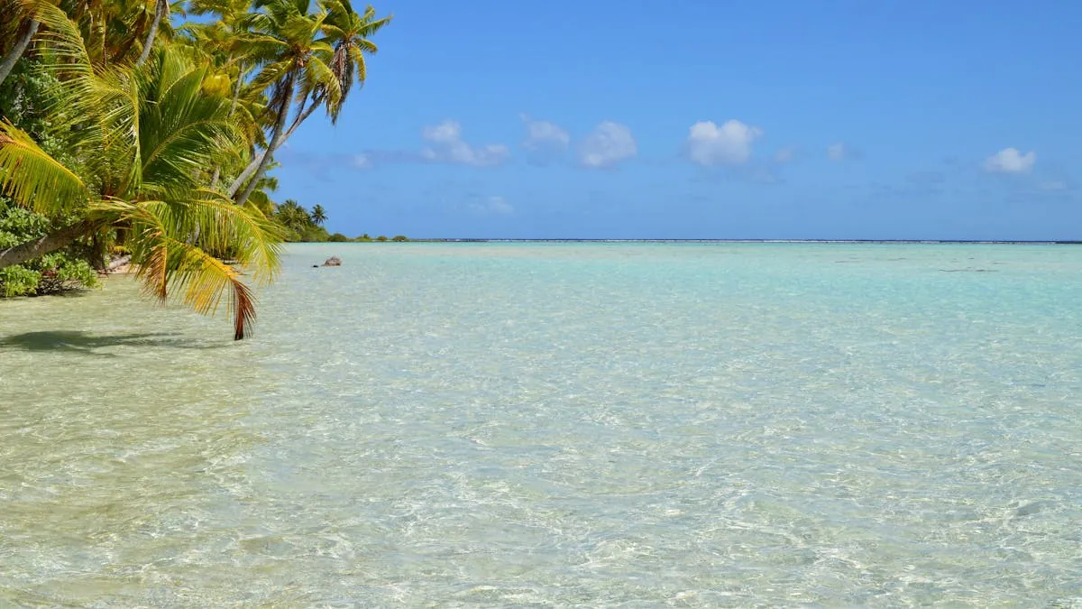 Melhores Praias de Santa Catarina para Morar em 2026: Ranking Completo