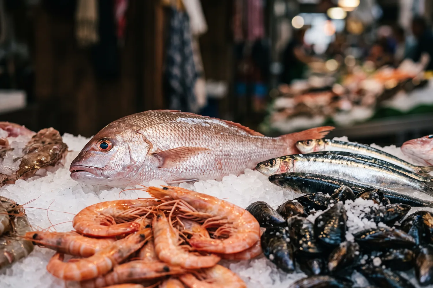 Peixes e frutos do mar em banca de mercado, imagem ilustrativa