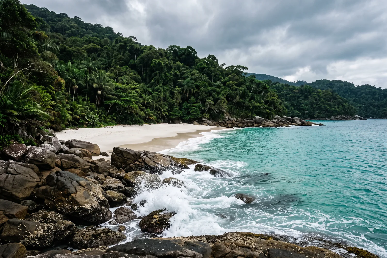 Praia agreste com Mata Atlântica ao redor, imagem ilustrativa